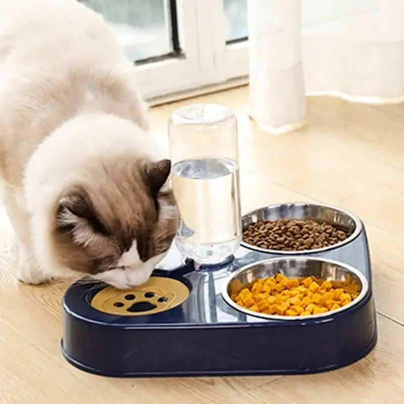 3in1 Cat Food Bowl